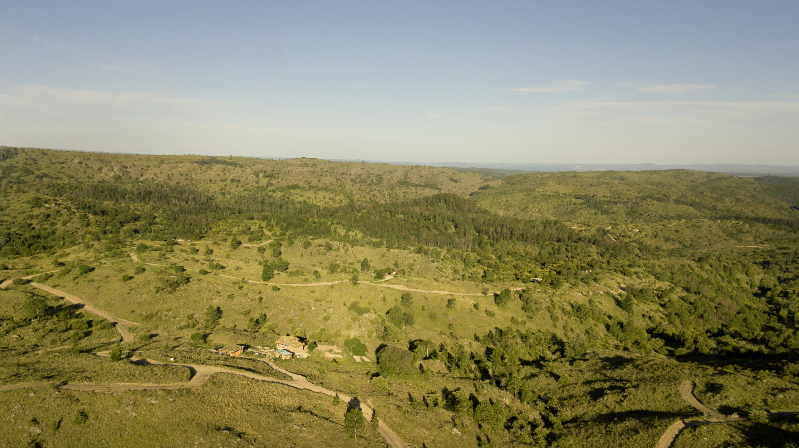 EDJI_0084