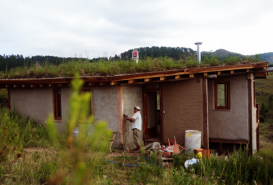Bioconstructora -100T-