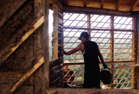 Bioconstructora -100T-
